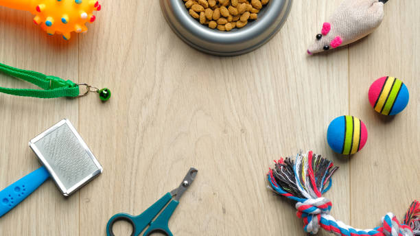a collection of dog and cat toys, ball, ropes, bowls, brush