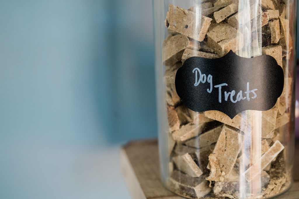 dog food container treats